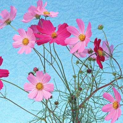 易倍app官网下载截图